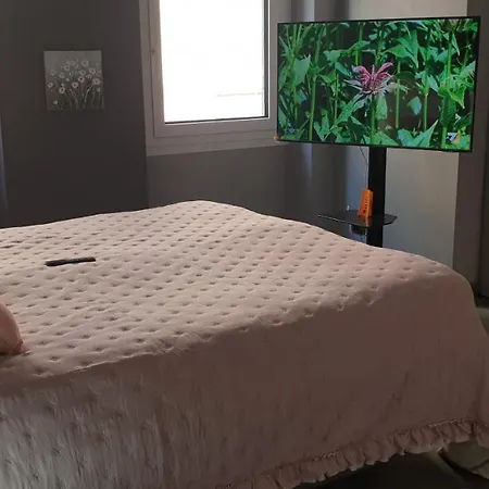 Il Vascello ラッパロ