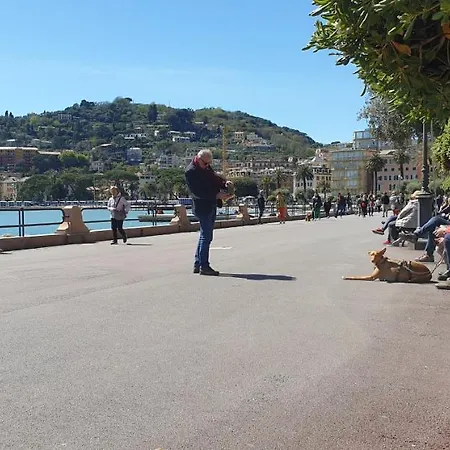 Il Vascello Rapallo