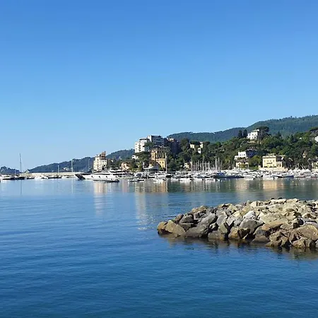 Il Vascello Rapallo